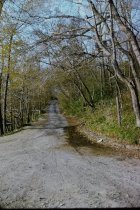 Looking up old beach road